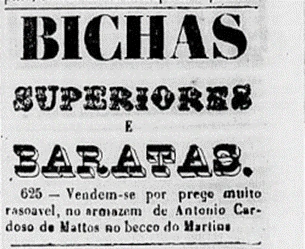 Anúncio de sanguessugas em jornal do século XIX